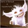 KASHAK_2011