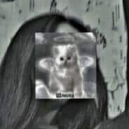 I'm EL