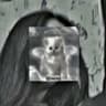 I'm EL