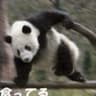 inpanda reactions