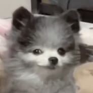 You