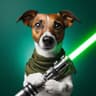 AnakiN