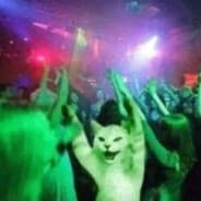 Kotiknevrotik#CornRust