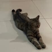 tồi