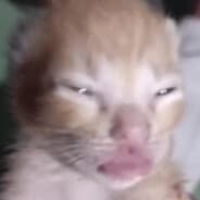 ogheksa