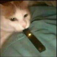 Napsuxx