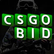 CSGOBidBot