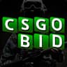 CSGOBidBot
