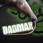 BadmaX