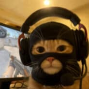 w0usadi