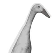 Gandulf