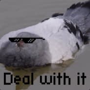 duk
