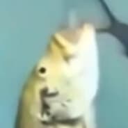 Wubba