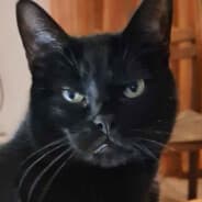 Zo