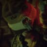 Teias13