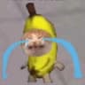 banana cat