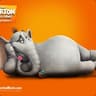 Horton Hears a Who