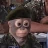 emir