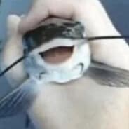 UpScaleRN