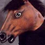 Snel Hest