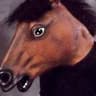 Snel Hest