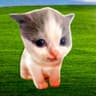 willi