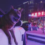 Winston Blue