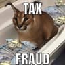tax evasion