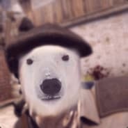 Mr. Polarbear