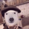 Mr. Polarbear