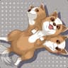 Cerberus