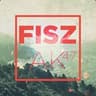 Fiszak