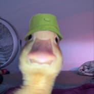 Żwirekzadymiarz69