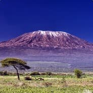 kilimanDZAR