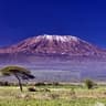 kilimanDZAR