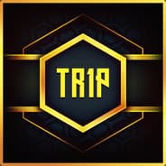 t p L '