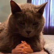 sTUPID FUCKI NG CAT
