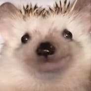 obie