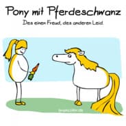 Pony mit Pferdeschwanz