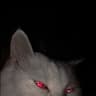 WhySkys1