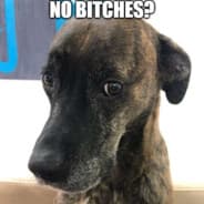 yes