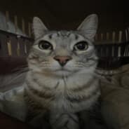 Milus