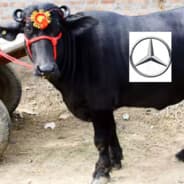 Mercedes Bhains