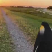 ????????????????????????????????