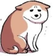 förolämpad doggie