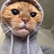 Homie