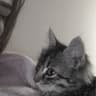 sleep