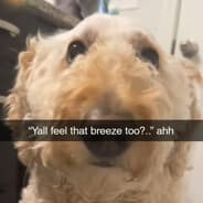 KRYXX