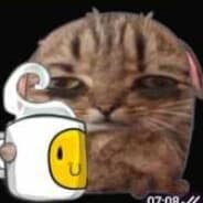 zzz