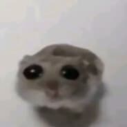YtkaZovZZ